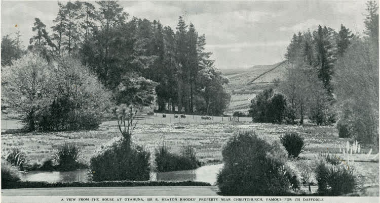 A view from the house at Otahuna, Sir R. Heaton Rhodes' property near Christchurch, famous for its daffodils, 1937