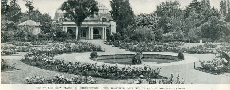 One of the show places of Christchurch: the beautiful rose section of the Botanical Gardens, 1937