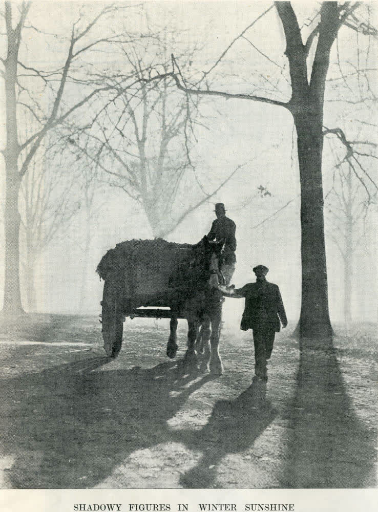 Shadowy figures in winter sunshine, 1939
