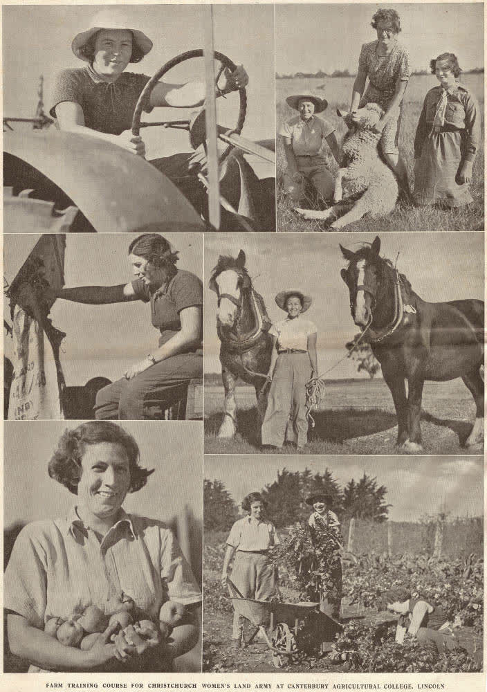 Farm training course for Christchurch Women's Land Army at Canterbury Agricultural College, Lincoln, 1941