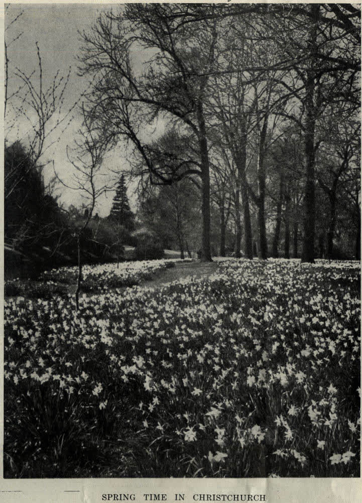 Spring time in Christchurch, 1944