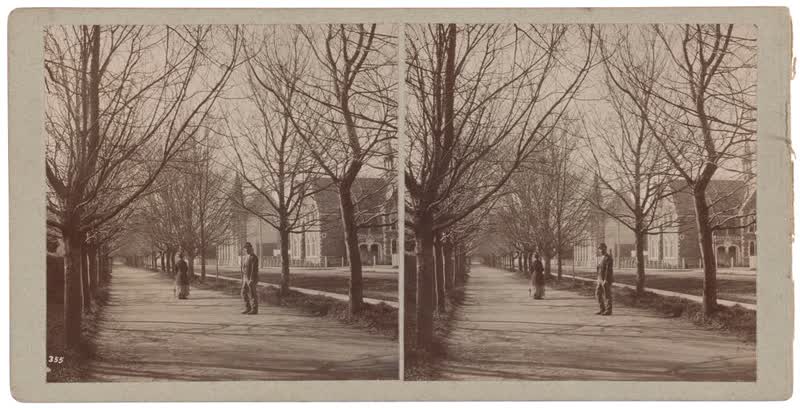 Christchurch Street, Avenue of trees, 1880