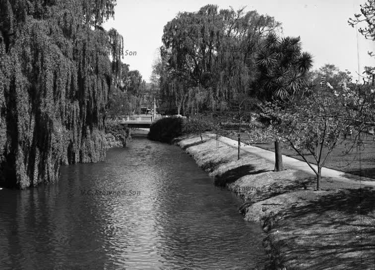 Looking up Otakaro-Avon River from Worcester St... (PB1901/10), 1939