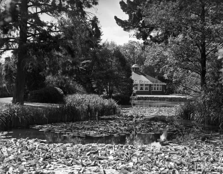 Botanic Gardens - Christchurch (PB1901/14), 1939