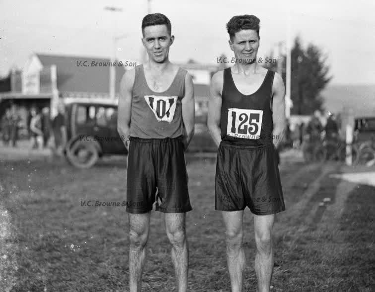Harriers - Halswell - Christchurch (PB1911/3), 1934