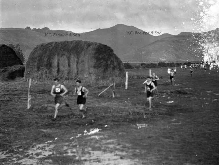 Harriers - Halswell - Christchurch (PB1911/5), 1934