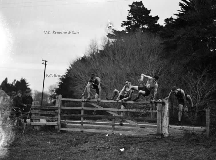 Harriers - Halswell - Christchurch (PB1911/8), 1934