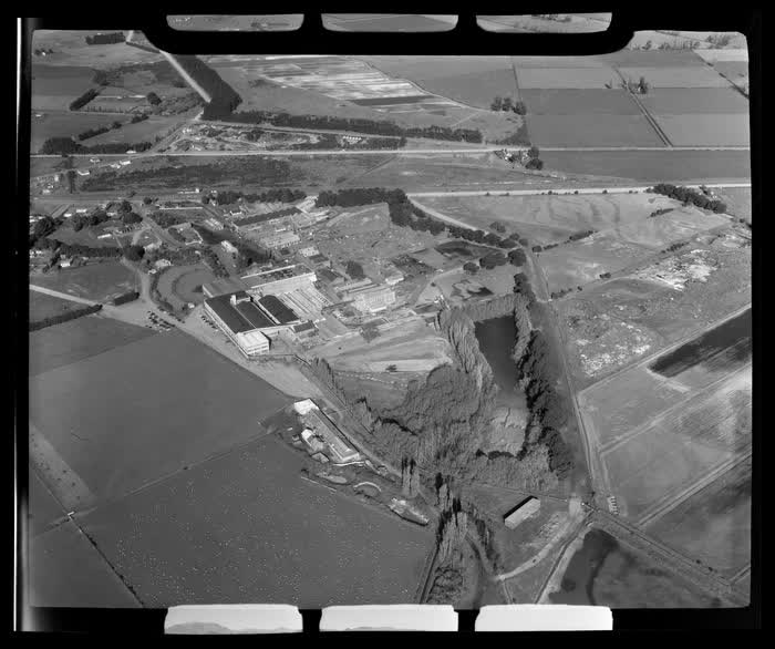 Meat Works, Hornby, Christchurch, Canterbury, 1957