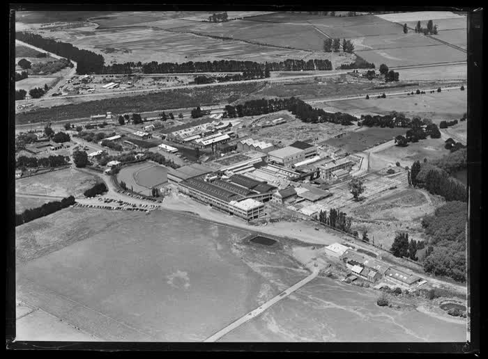 Islington Freezing Works, Christchurch, Canterbury Region, 1959