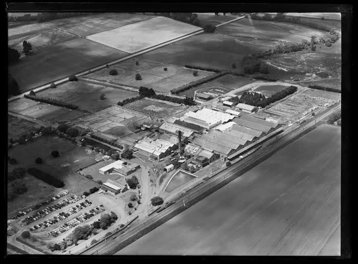 Belfast Freezing Works, Christchurch City, 1959