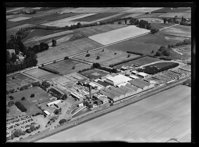 Belfast Freezing Works, Christchurch City, 1959
