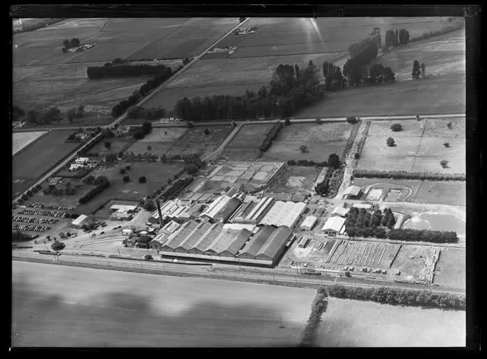 Belfast Freezing Works, Christchurch City, 1959