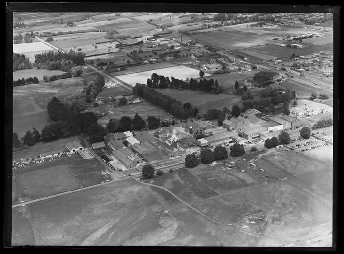 Belfast Freezing Works, Christchurch City, 1959