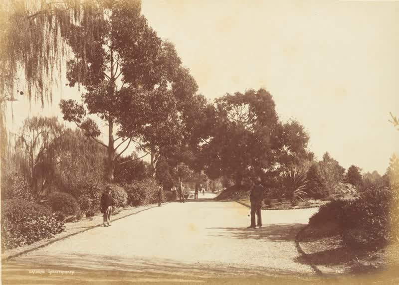 Gardens, Christchurch.  From the album: N. Z. Scenery, 1876