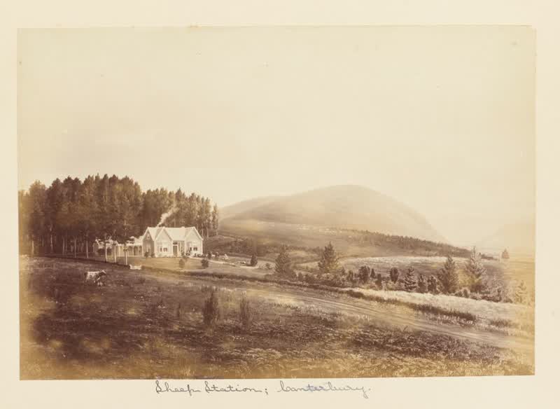Sheep Station, Canterbury. From the album: New Zealand album, 1880
