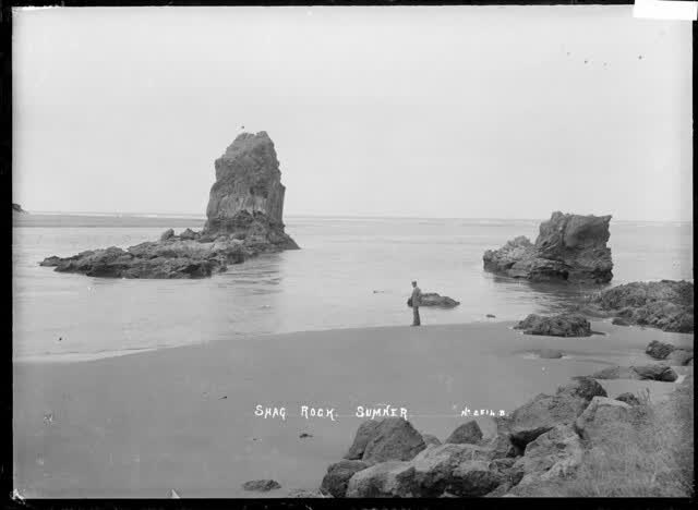 View of Shag Rock at Sumner, near Christchurch, 2005