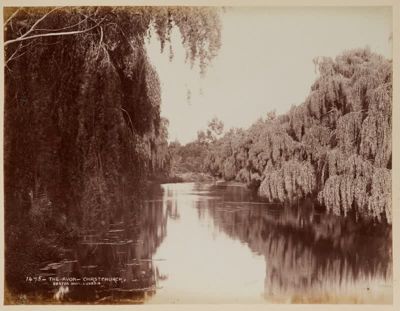 The Avon, Christchurch.  From the album: Land of Loveliness New Zealand, 1880