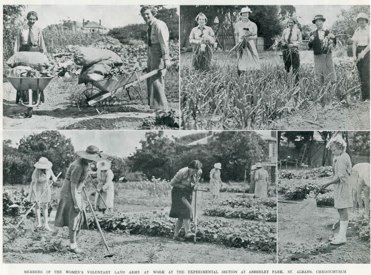 Members of the Women's Voluntary Land Army at work at the experimental section at Abberley Park, St. Albans, Christchurch, 1942