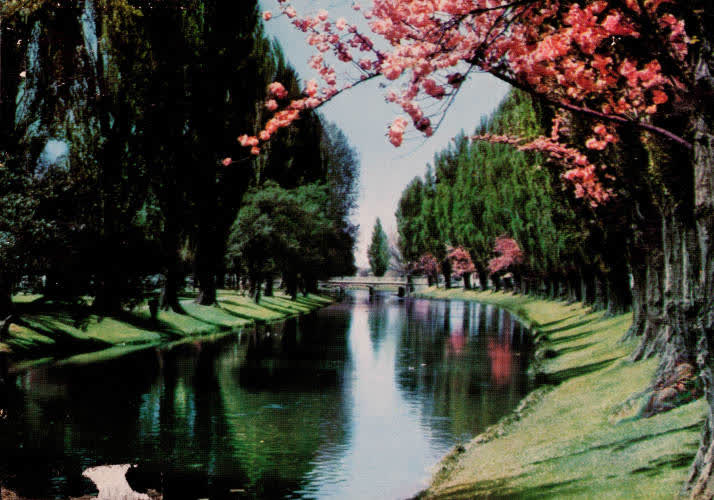 Avon River, Christchurch, 1960