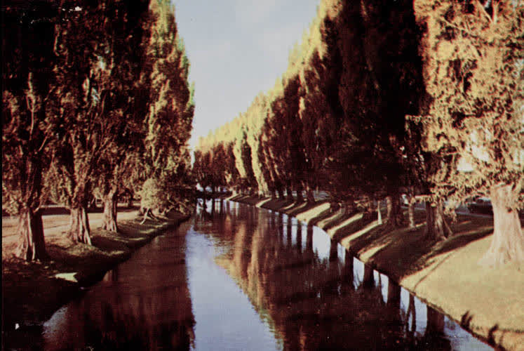 Avon River, Christchurch, 1960