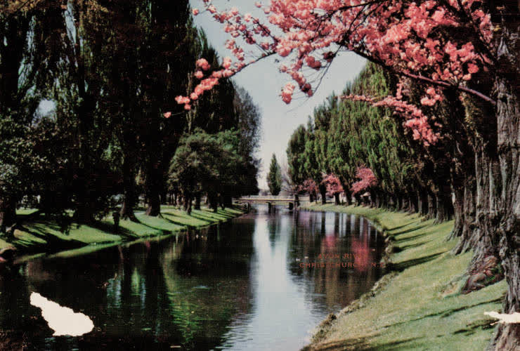 Avon River, Christchurch, 1960