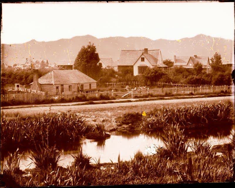 Glass Plate Negative: Panorama, 1858