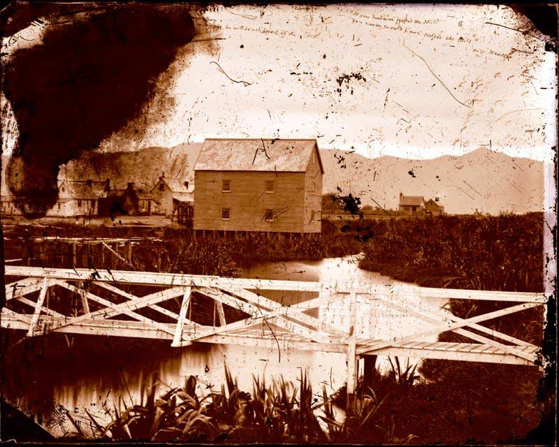 Glass Plate Negative: Christchurch Abomination, 1859