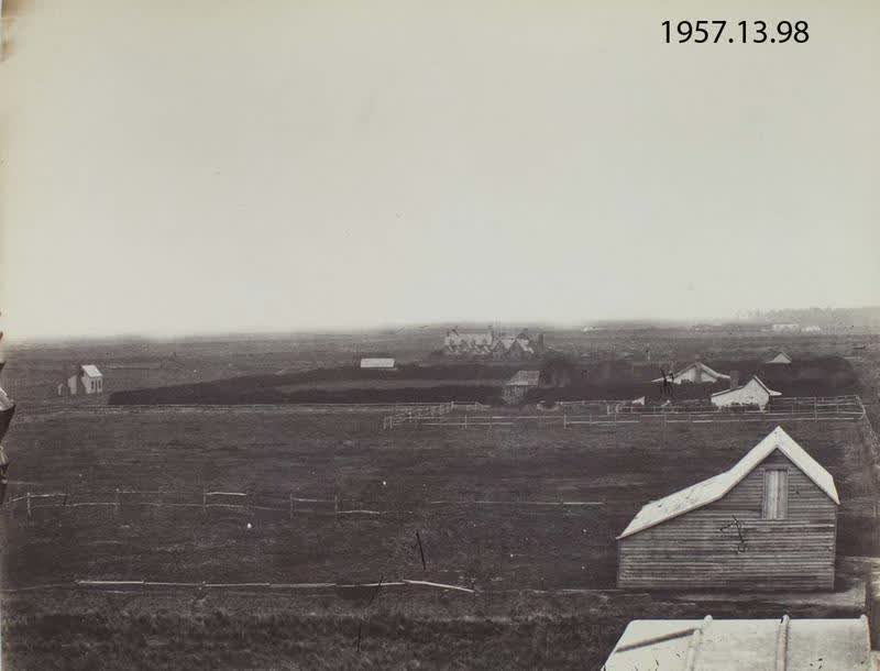 Photograph: Riccarton Bush, 1860