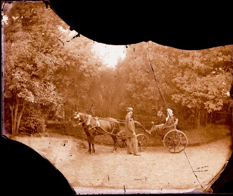 Glass Plate Negative: Archdeacon and Mrs Wilson, 1865