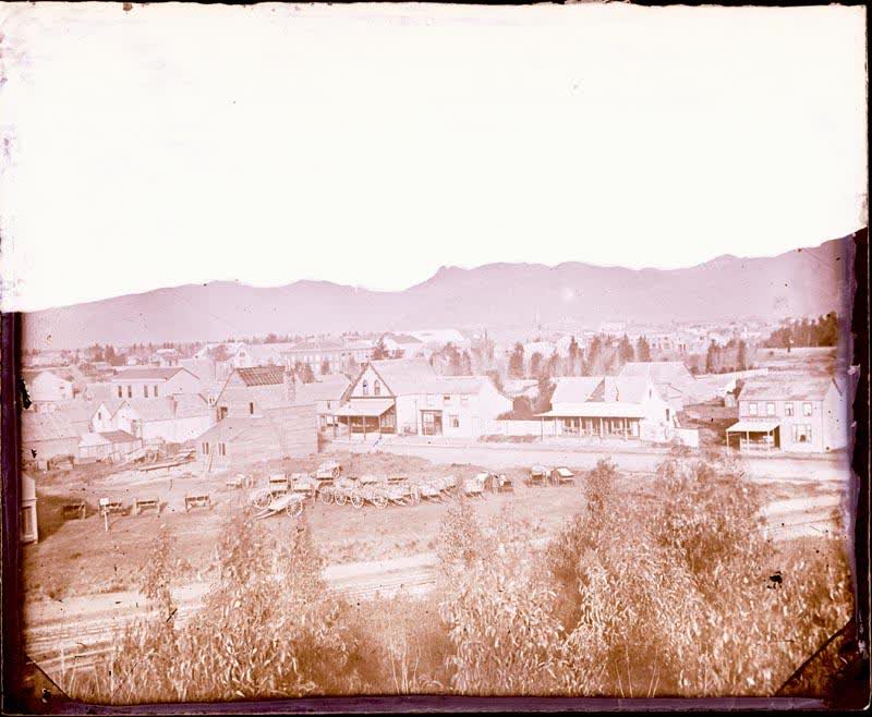 Glass Plate Negative: Panorama, 1864