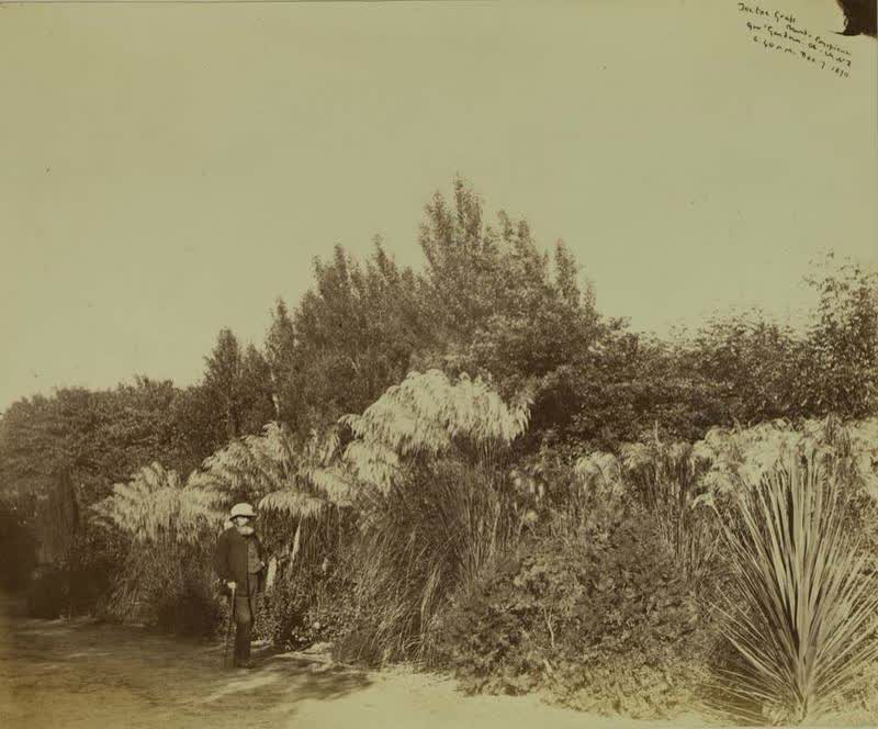 Photograph: Government Gardens, Christchurch, 1870