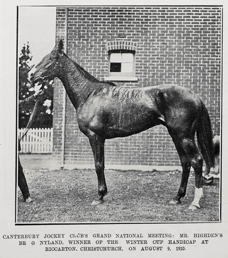 Canterbury Jockey Club's Grand National Meeting, 1910