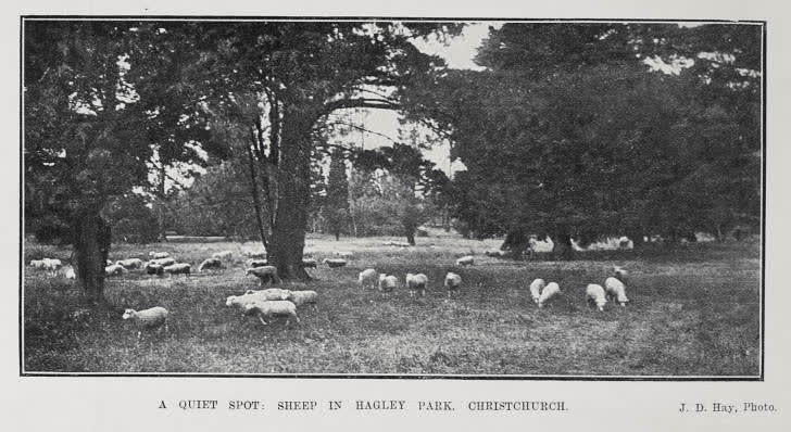 A Quiet Spot, 1911