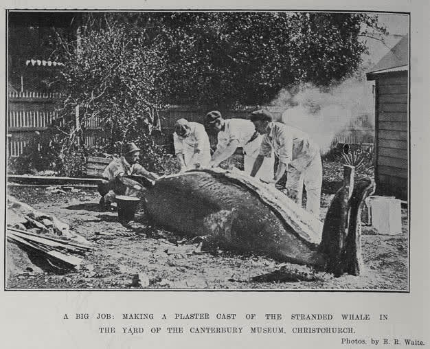 A Big Job, 1912