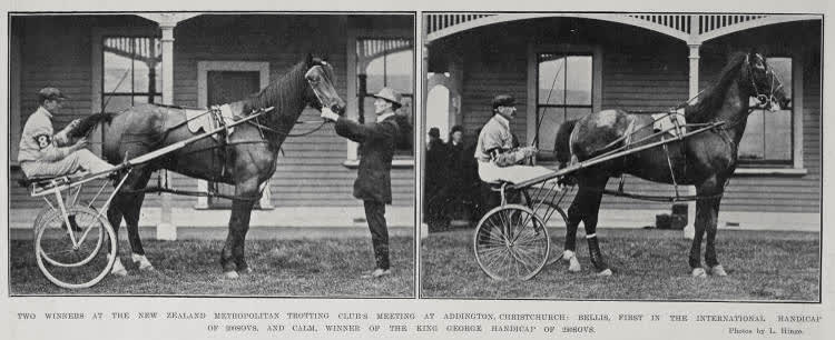 Two Winners At The New Zealand Metropolitan Trotting Club's Meeting At Addington, Christchurch, 1913