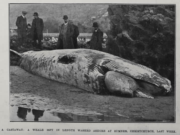 A Castaway, 1913