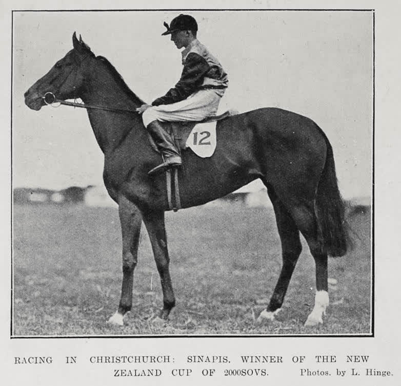 Racing In Christchurch, 1913