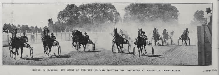 Racing In Harness, 1913