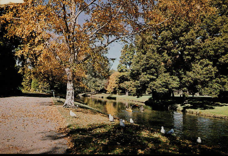 Canoeing on the Avon River, Christchurch, 1960