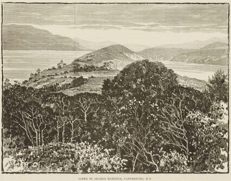Scene in Akaroa Harbour, Canterbury, N.Z., 1893