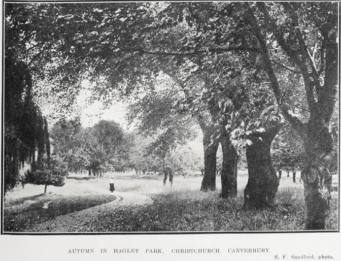 Autumn in Hagley Park, Christchurch, Canterbury, 1923