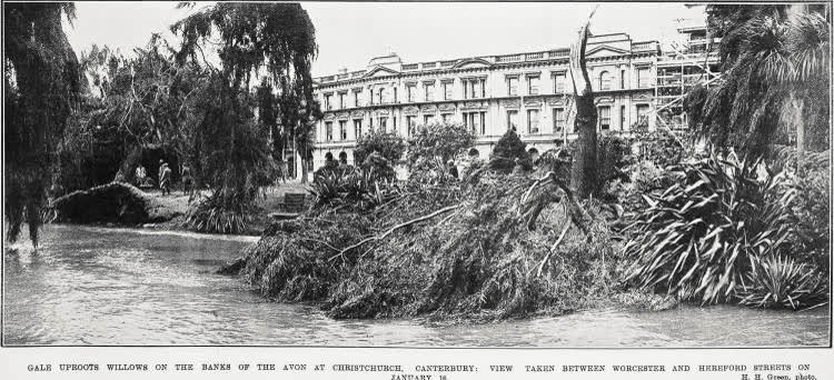 Gale uproots willows on the banks of the Avon at Christchurch, Canterbury: view taken between Worcester and Hereford Streets on January 16, 1924