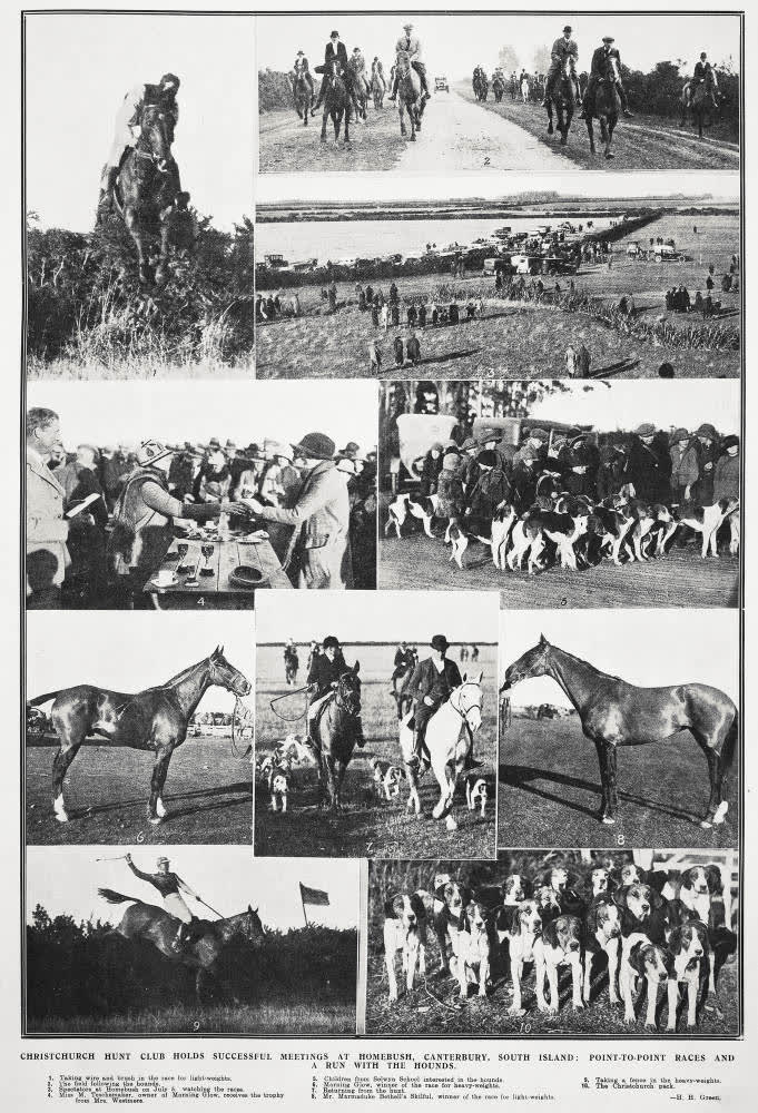 Christchurch Hunt Club holds successful meeting at Homebush, Canterbury, South Island: point races and a run with the hounds, 1924