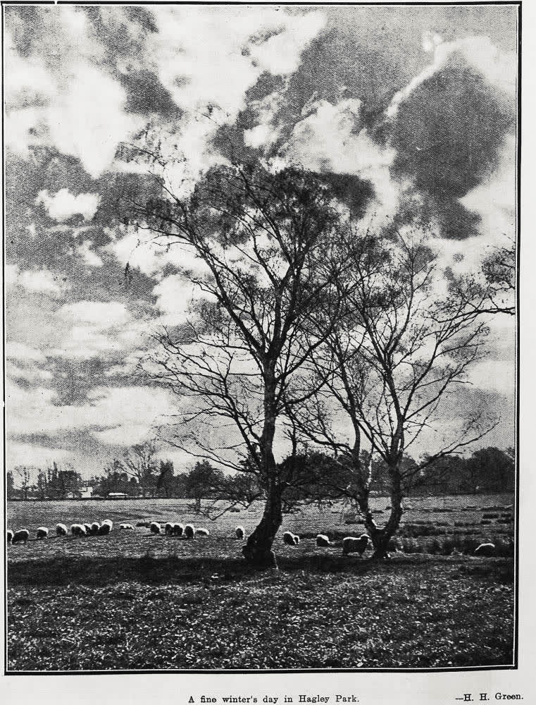 A fine winter's day in Hagley Park, 1924
