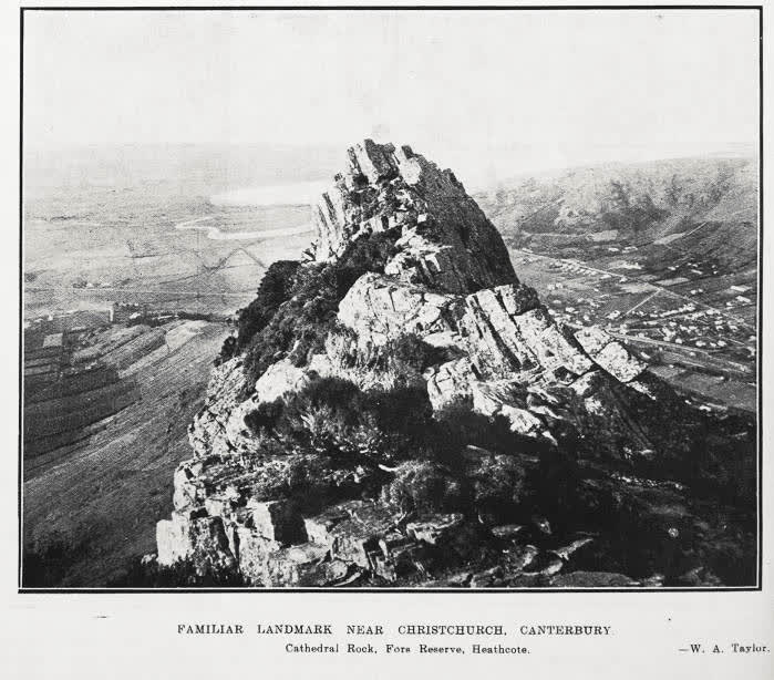 Familiar landmark near Christchurch, Canterbury, 1924
