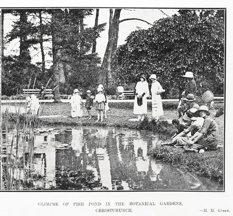 Glimpse of Fish Pond in the Botanical Gardens Christchurch, 1925