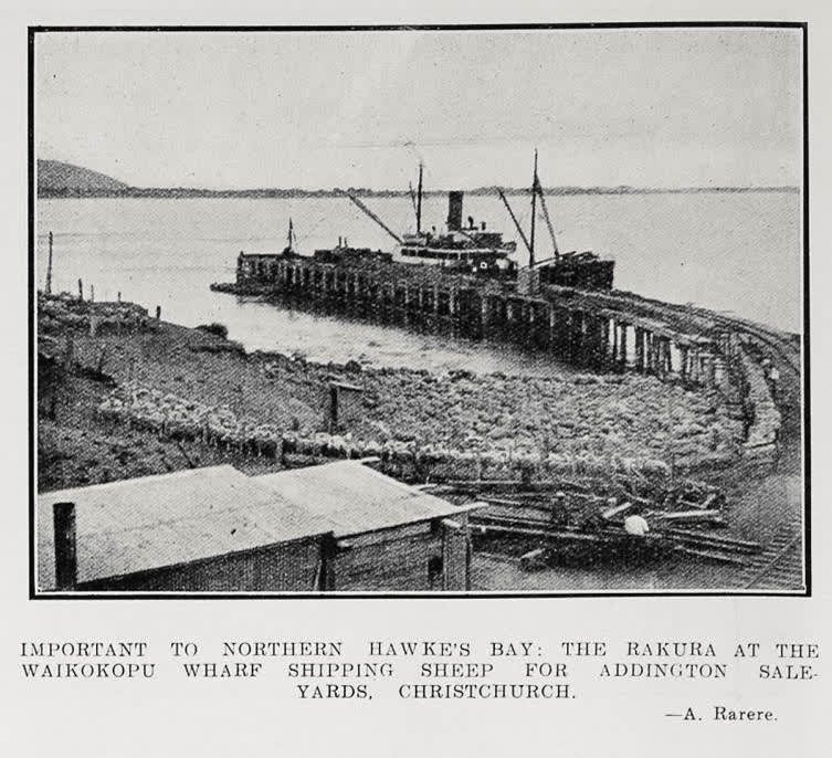Important to Northern Hawke's Bay: The Rakura at the Waikokopu Wharf shipping sheep for Addington sale yards, Christchurch, 1926