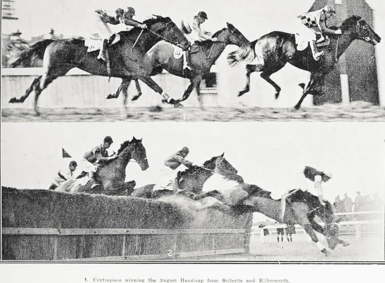Centrepiece winning the August Handicap, Ranui comes to grief in the Grand National Steeplechase, 1926