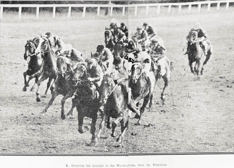 Entering the straight in the Woolstone Handicap, won by Precious, 1926