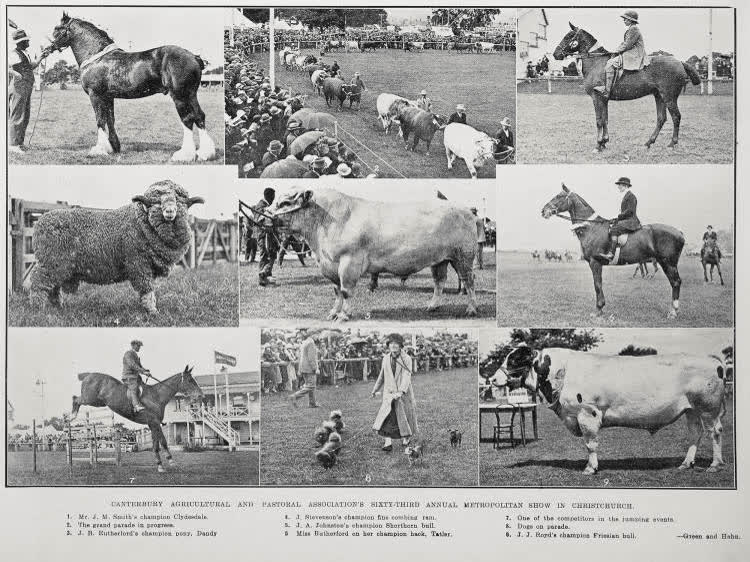 Canterbury Agricultural and Pastoral Association's Sixty Third Annual Metropolitan Sh0W In Christchurch, 1926